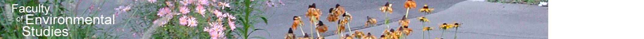 FESheaderFlowers