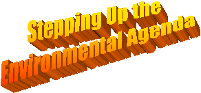 Stepping Up the 
Environmental Agenda